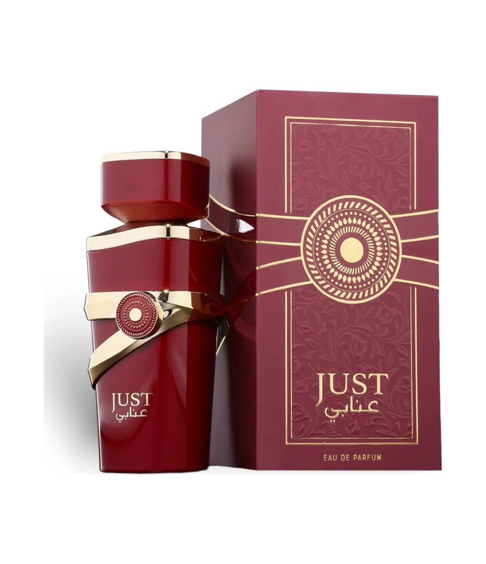 Just Anabi by Fragrance World 100ml Eau De Parfum